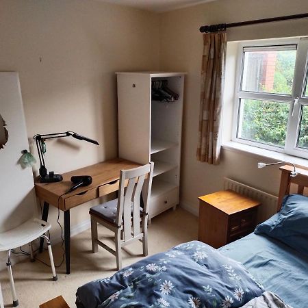 Crescent Apartments Homestay Cork Dış mekan fotoğraf
