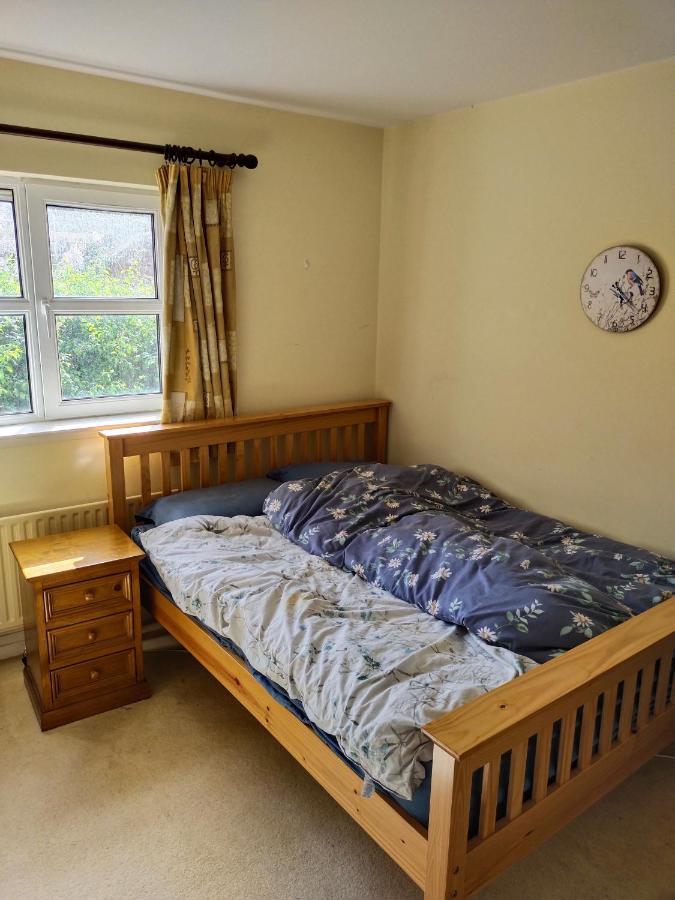 Crescent Apartments Homestay Cork Dış mekan fotoğraf